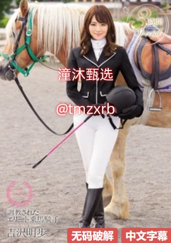 耍坏拐娇妻ブルーレイディスク